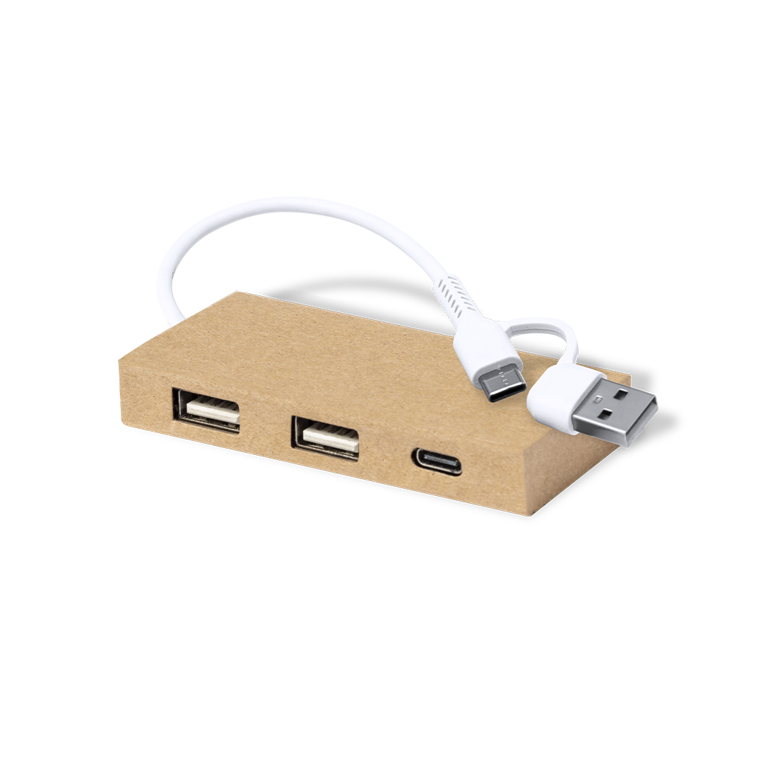 Hub USB Hasgar P168203T