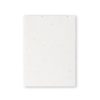Notes samoprzylepny z papieru nasiennego Zomek P168220T