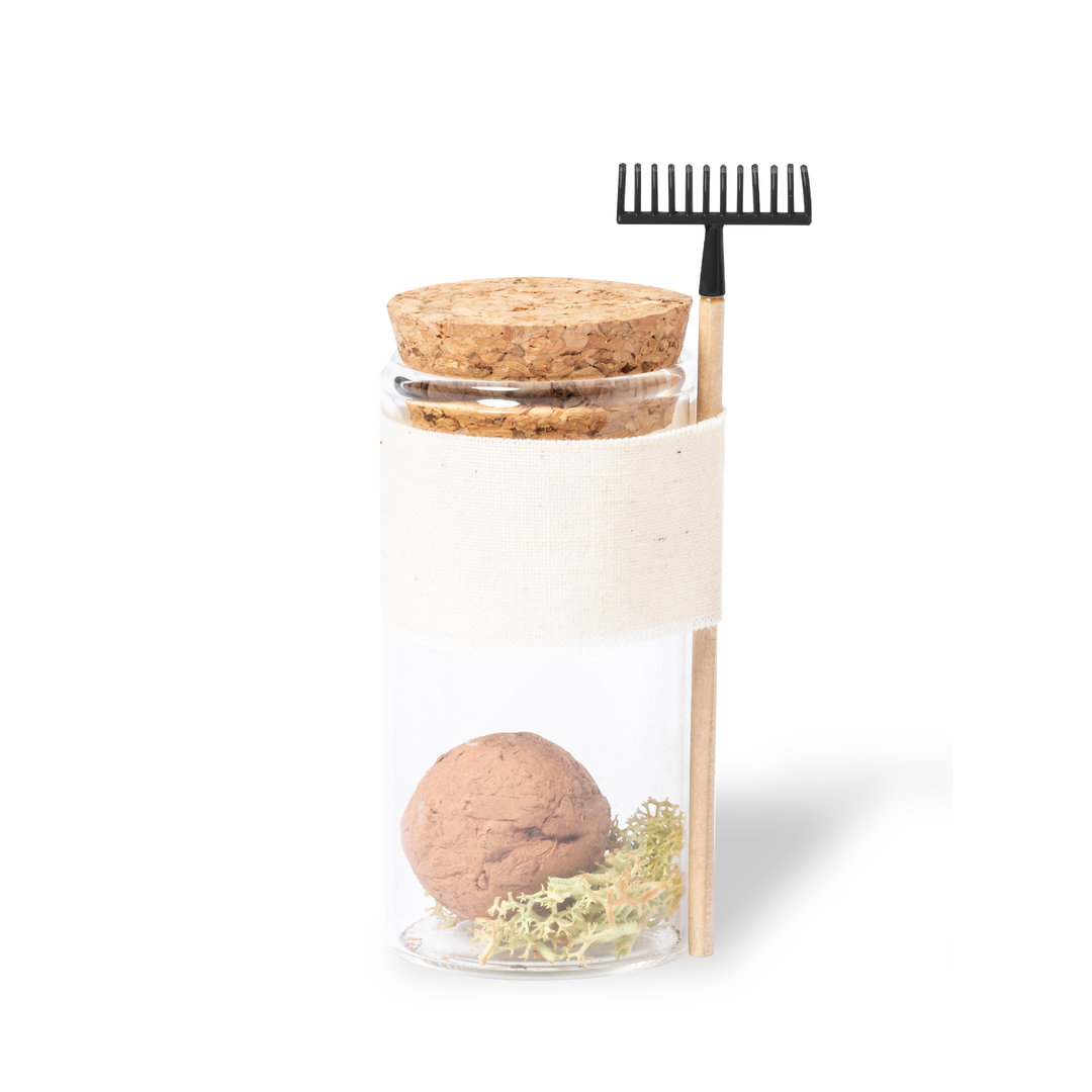 Bonbony nasienne Winsu P168278T MKT-1932-W
