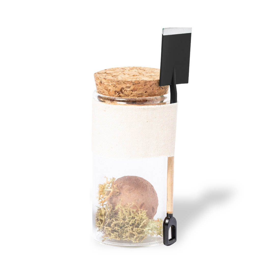 Bonbony nasienne Winsu P168278T typ b
