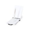 Notatnik Fanny P169186T