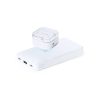 Power bank Barry P169240T