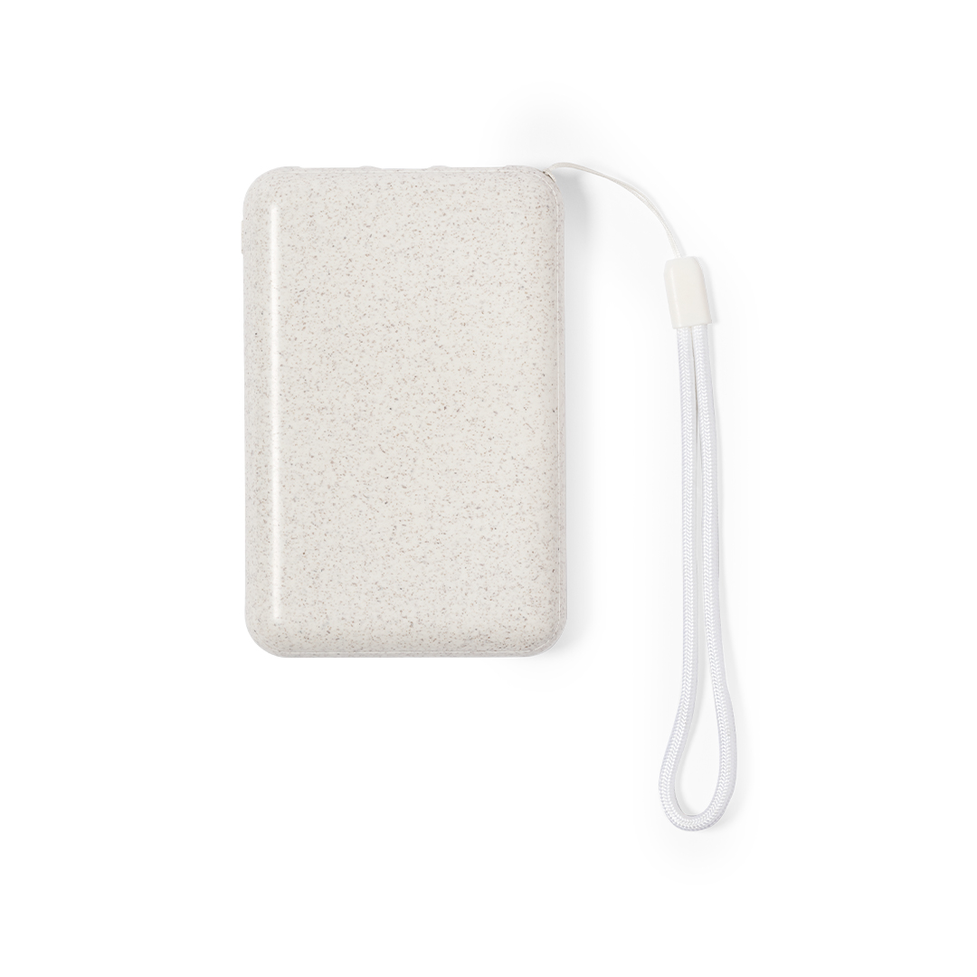 Power bank Dawson P169245T