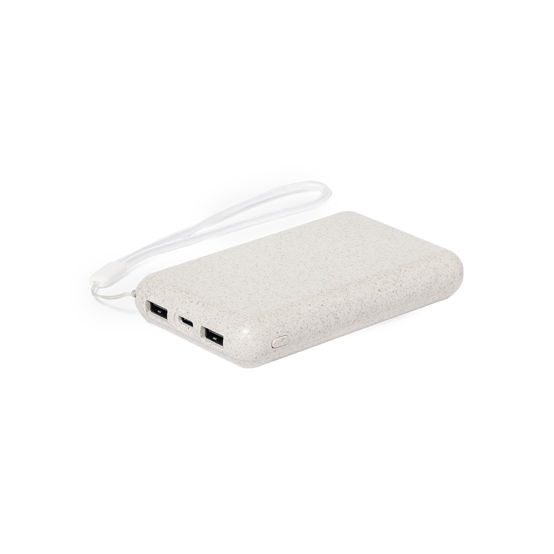 Power bank Dawson P169245T