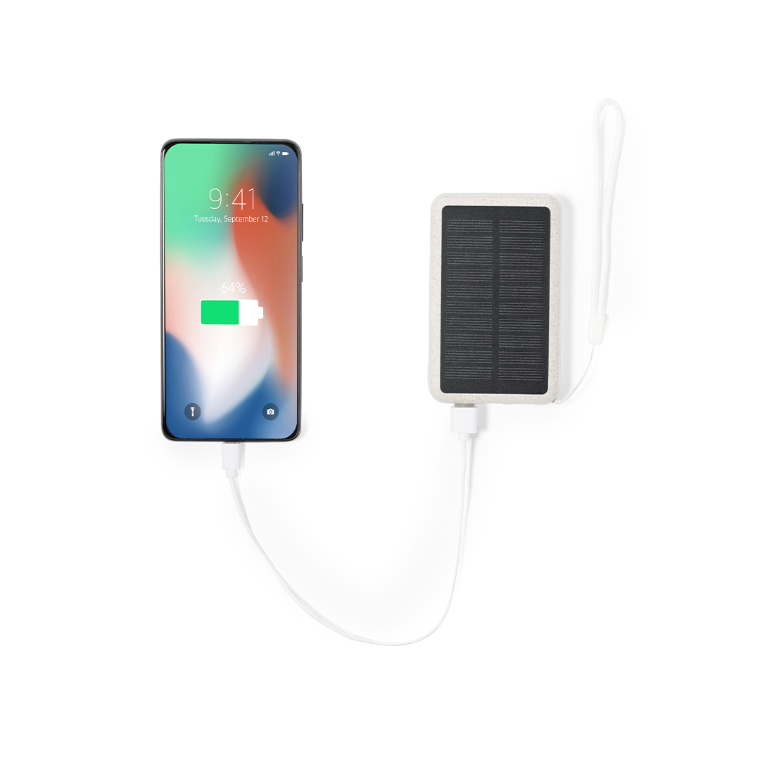 Power bank Dawson P169245T