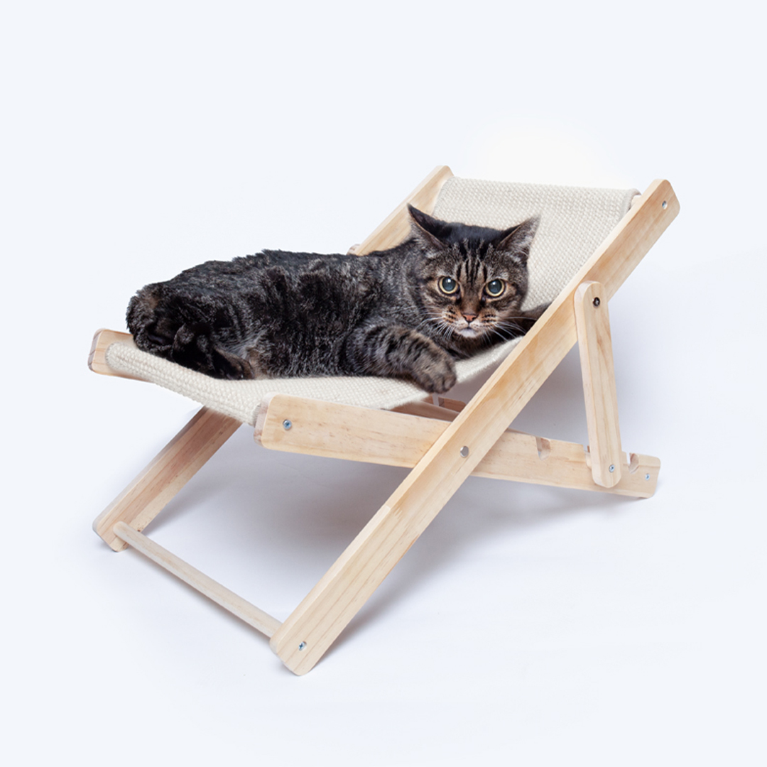 Pets Chair Diny P169318T