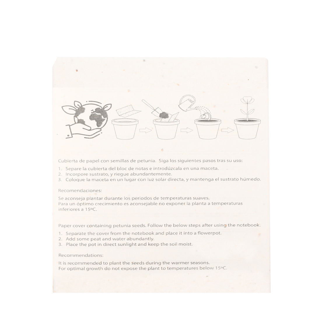 Zestaw z nasionami Elaris P169416T
