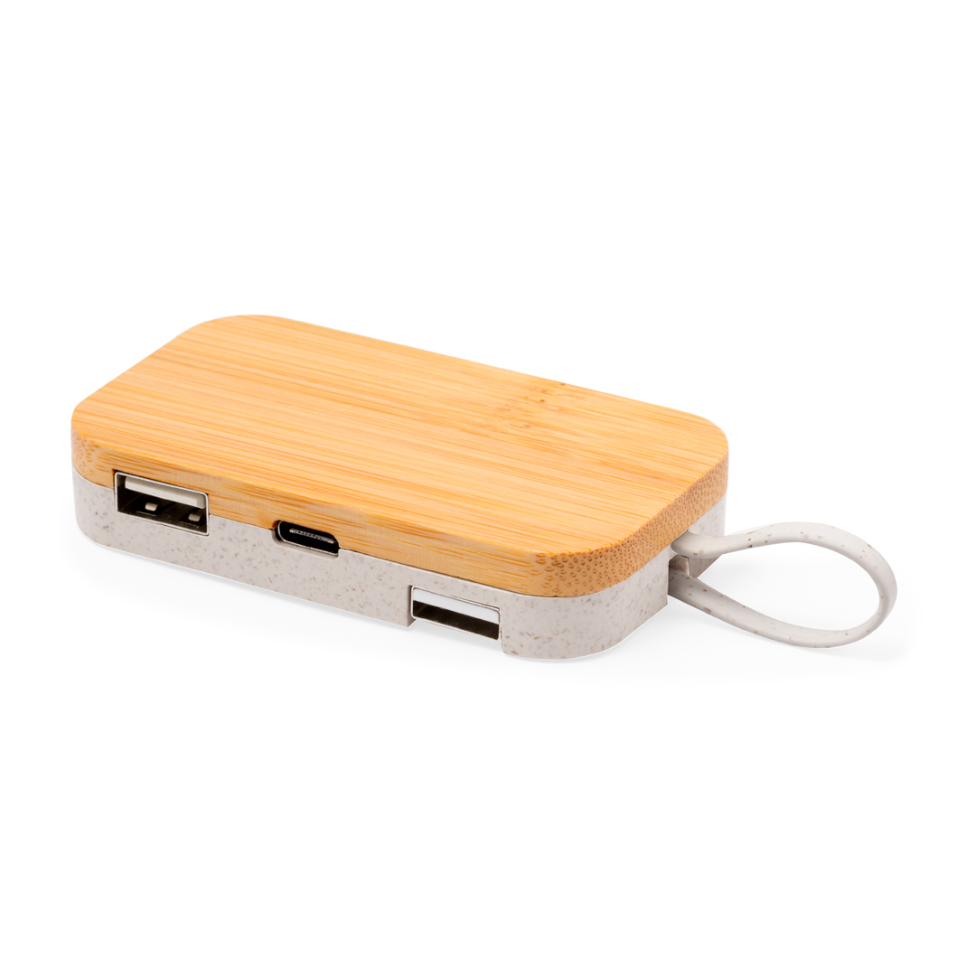 Hub USB z uchwytem Flow P171947T