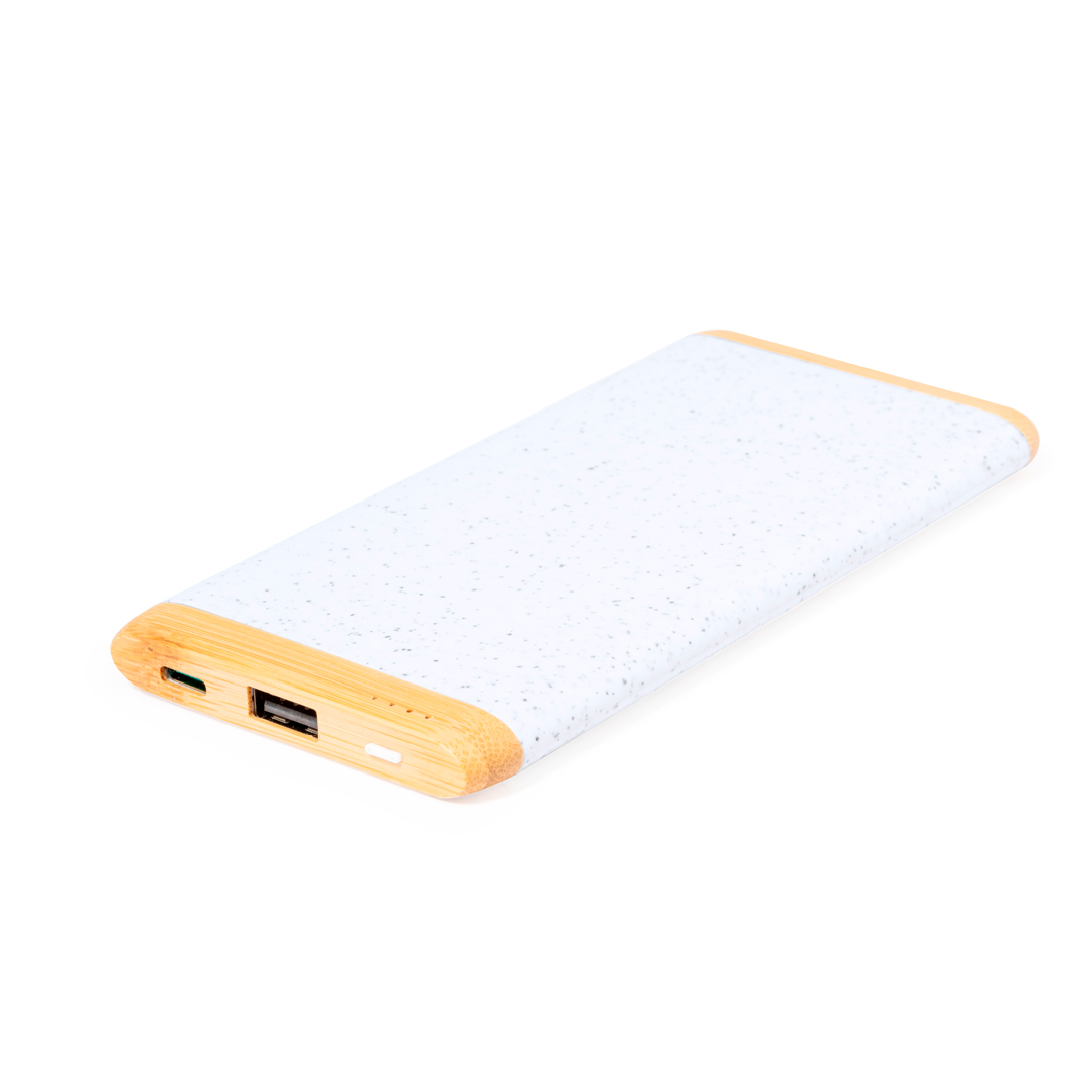 Power bank Coquin P171964T