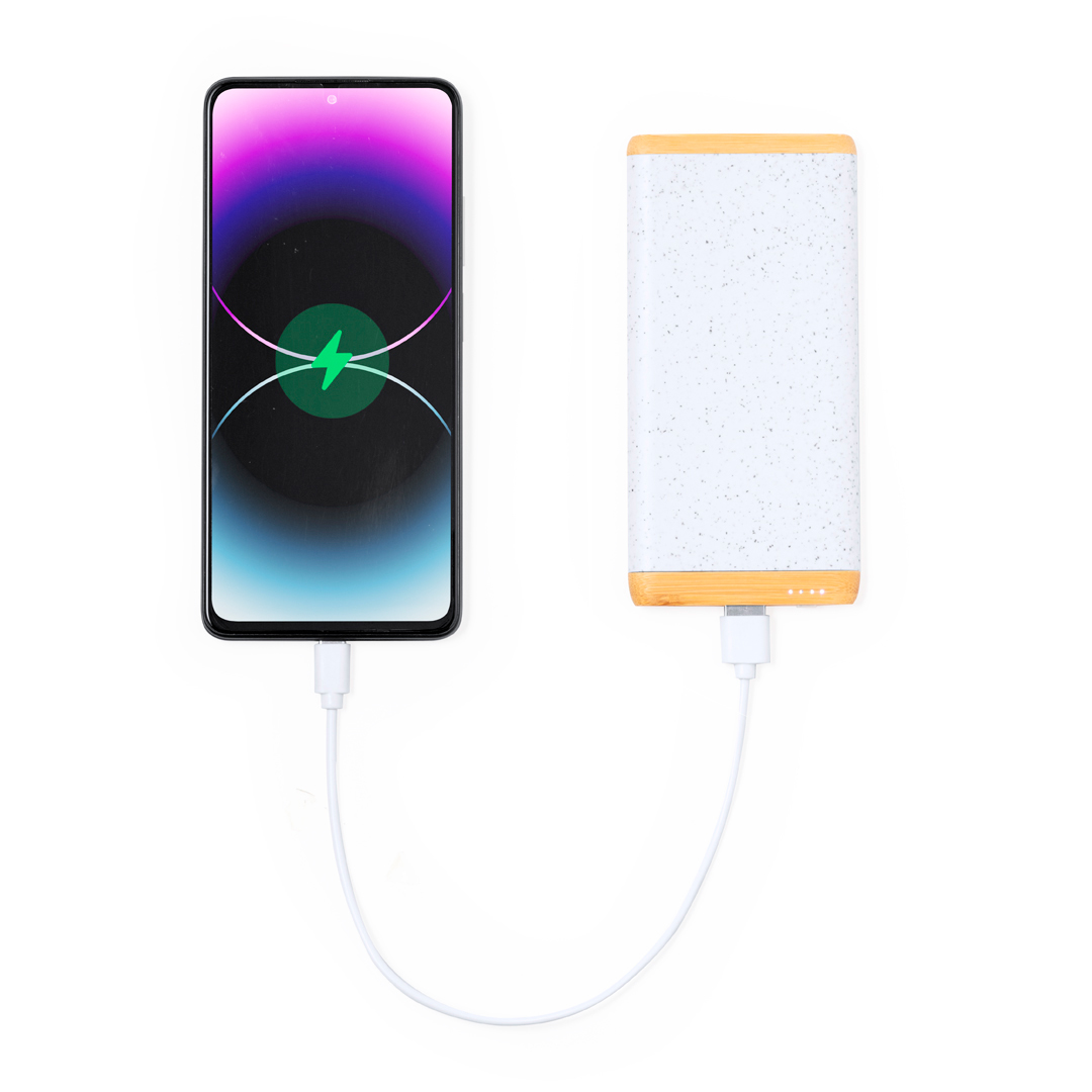 Power bank Coquin P171964T