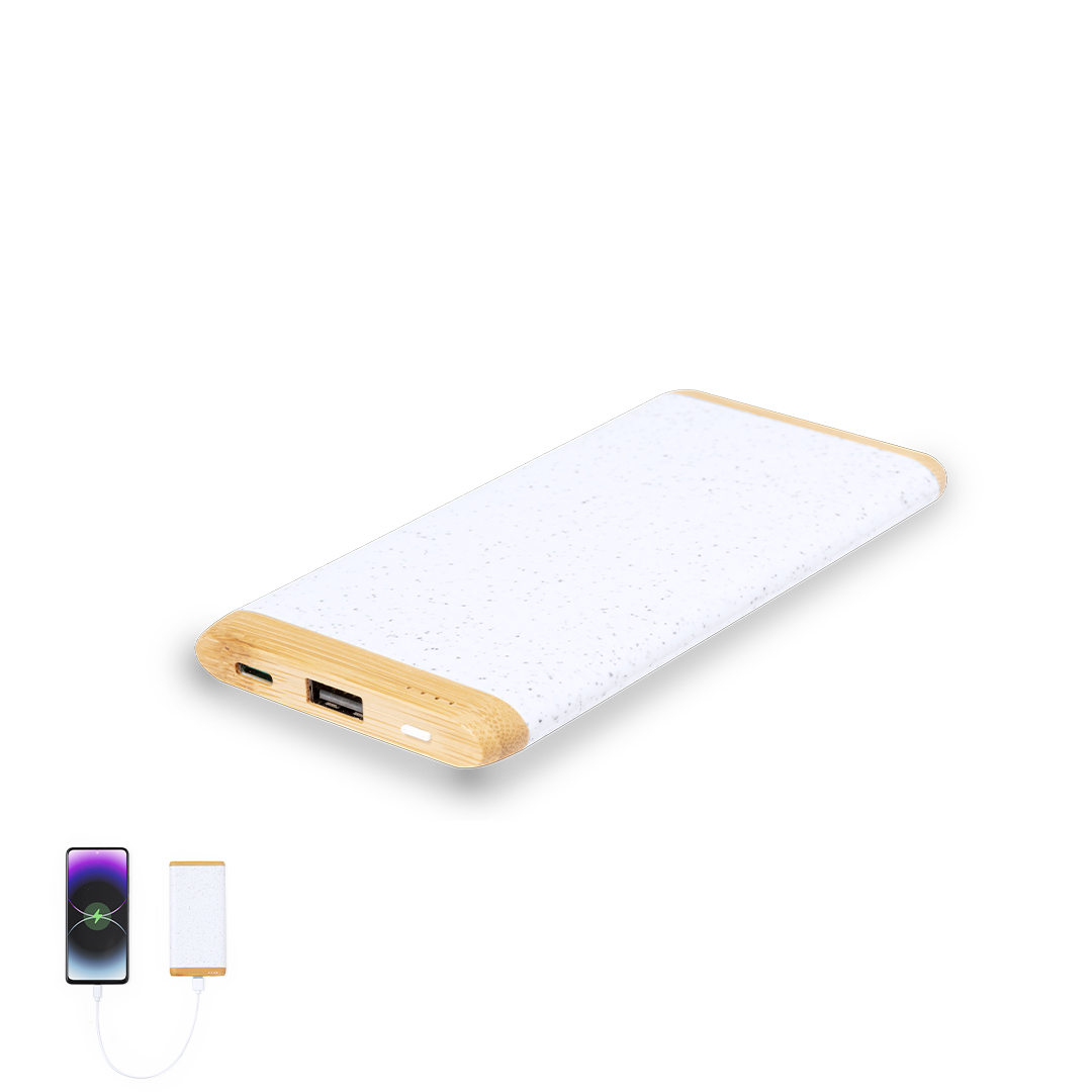 Power bank Coquin P171964T