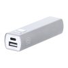 Power bank Serdinam P172029T srebrny