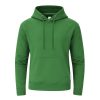 Bluza z kapturem dla dorosłych Dretius P172239T zielony