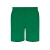 Szorty Rudig P172789T zielony