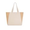 Torba Sharma P173032T