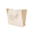 Torba Sharma P173032T