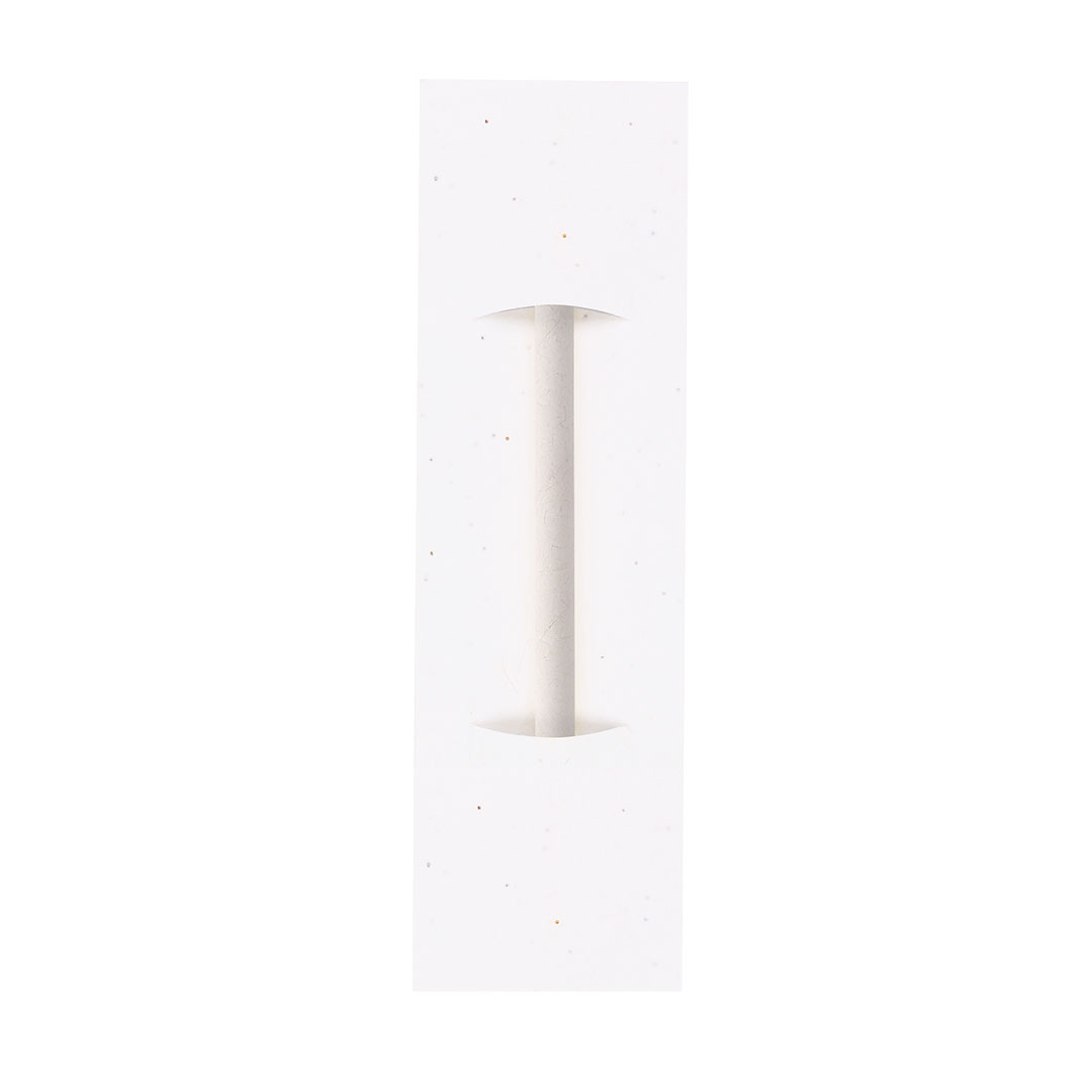 Wieczny ołówek Stauton P173517T