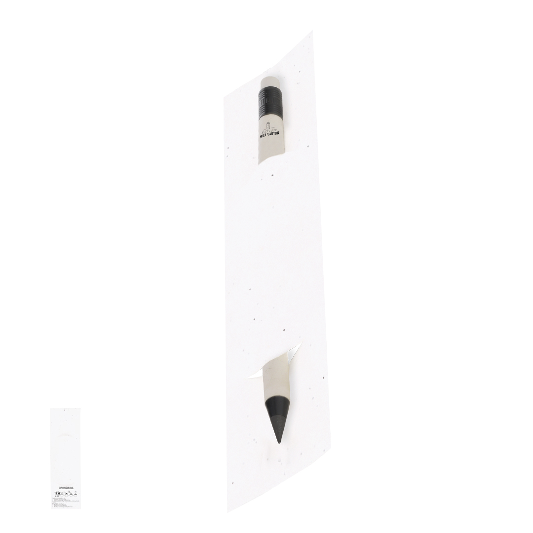 Wieczny ołówek Stauton P173517T