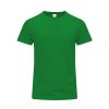 Kolorowy T-shirt dla dorosłych Stiles P174020T zielony