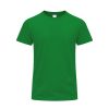 Kolorowy T-shirt dla dorosłych Perkins P174111T zielony