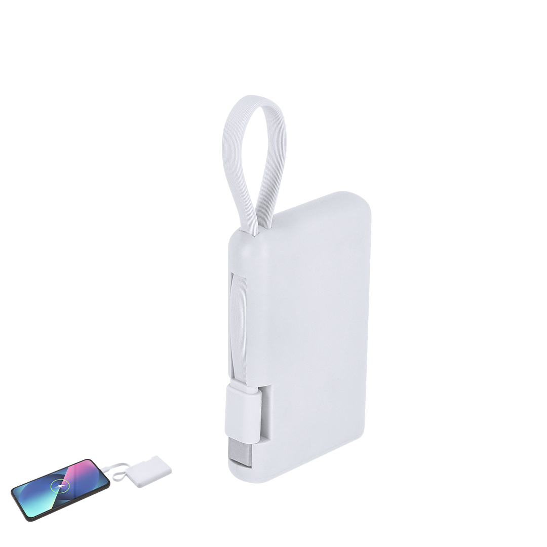 Power bank Brandin P175315T