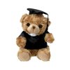 Teddy Kamor P176207T