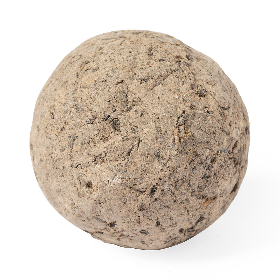 Bonbony nasienne Mussox P167199T