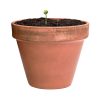 Bonbony nasienne Mussox P167199T