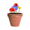 Bonbony nasienne Mussox P167199T
