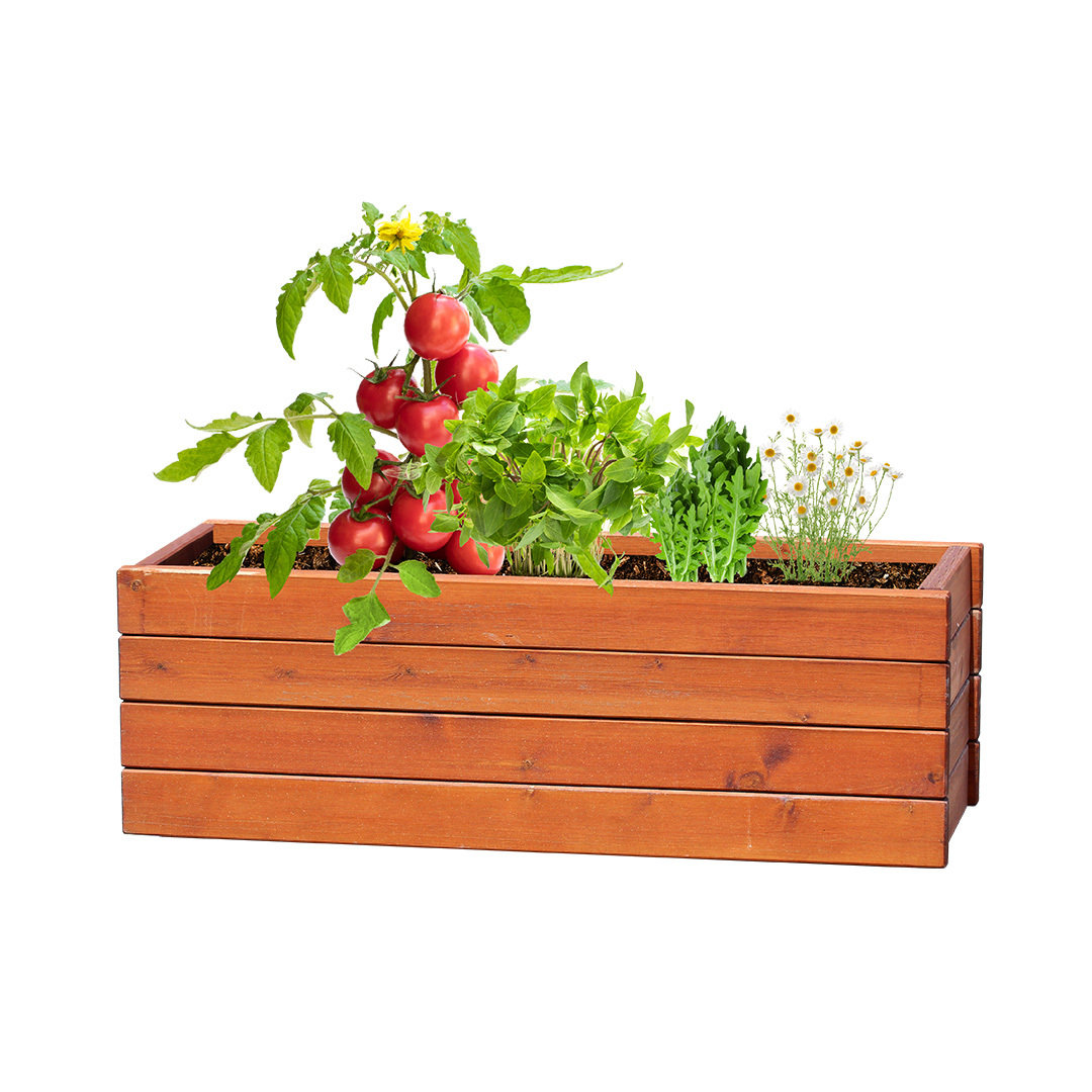 Zestaw ogrodniczy Tomarux P167200T