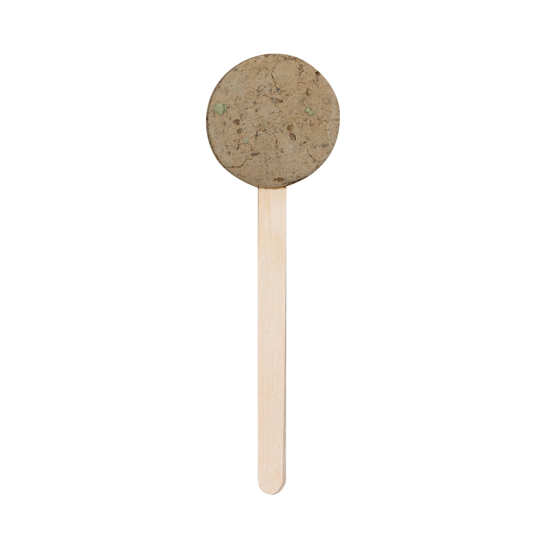 Lizak z nasionami Ebeldy P174556T MKT-2763NATUS/T