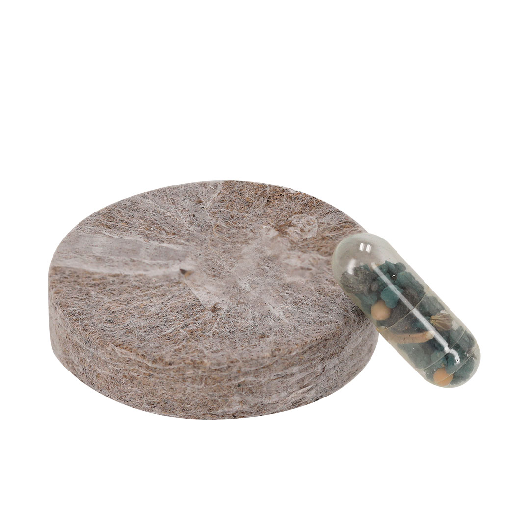 Zestaw do zasadzenia Aquael P177182T