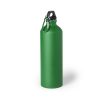 Butelka Delby P163899T zielony