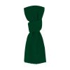 Apaszka Ribban P165061T zielony