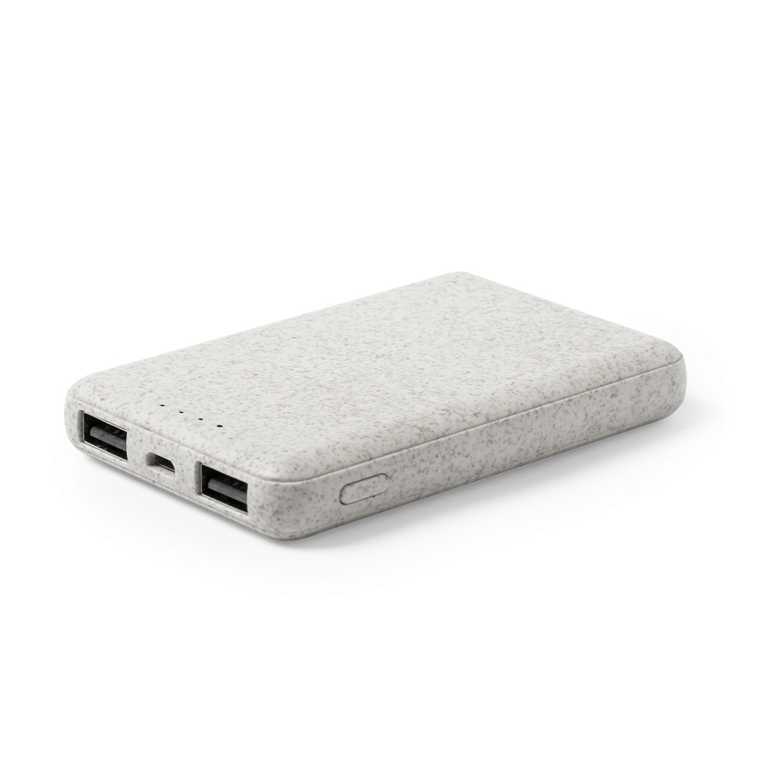 Power bank Shiden P166163T