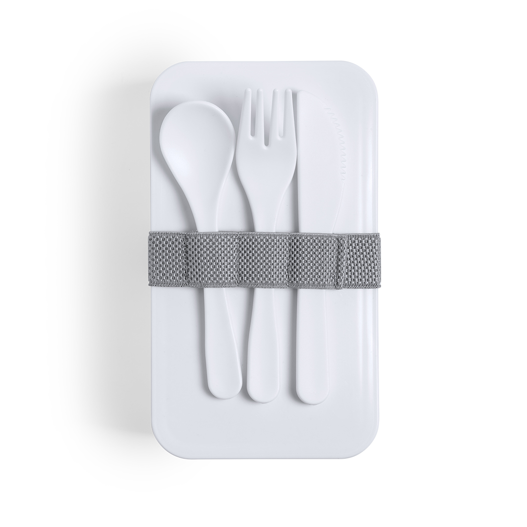 Antybakteryjne pudełko na lunch Fandex P166299T