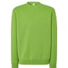 Bluza dresowa swra 290 P138169H lime
