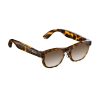 Okulary Prixton IRIS AI P179322C brązowy