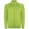 Bluza dziecięca Valier z zamkiem błyskawicznym na całej długości P179617C fluorescencyjna zieleń