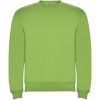 Bluza Clasica KIDS 280 g/m² P078920C oasis green Bluza Clasica KIDS 280 g/m² P078920C oasis green