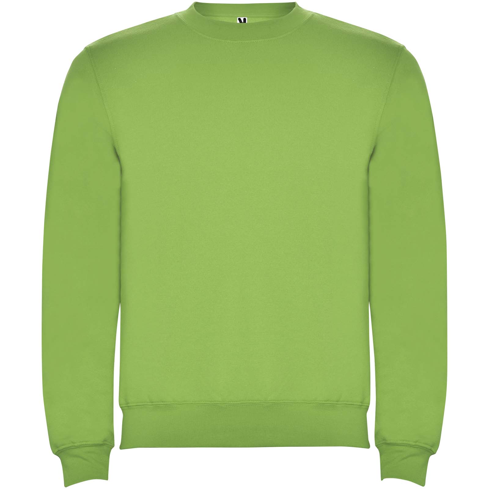 Bluza Clasica KIDS 280 g/m² P078920C oasis green Bluza Clasica KIDS 280 g/m² P078920C oasis green