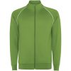 Męska bluza Valier z zamkiem błyskawicznym na całej długości P179551C paprociowy zielony Męska bluza Valier z zamkiem błyskawicznym na całej długości P179551C paprociowy zielony