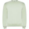 Bluza Clasica 280 g/m² P078773C mist green Bluza Clasica 280 g/m² P078773C mist green