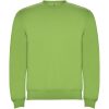 Bluza Clasica 280 g/m² P078773C oasis green Bluza Clasica 280 g/m² P078773C oasis green