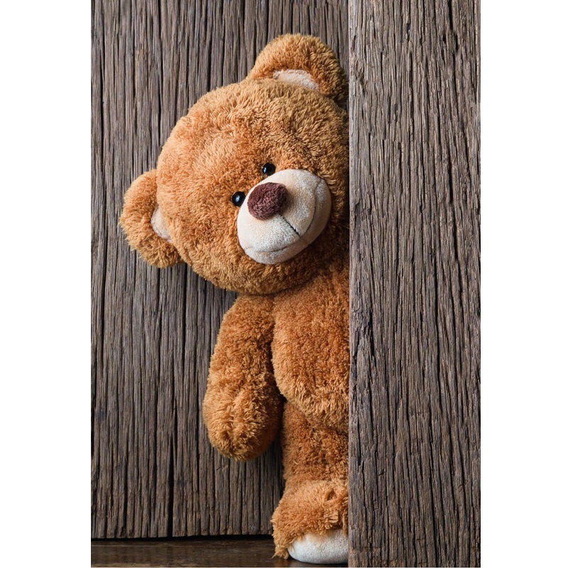 Maskotka Oso P042869R RO-R73849.BK