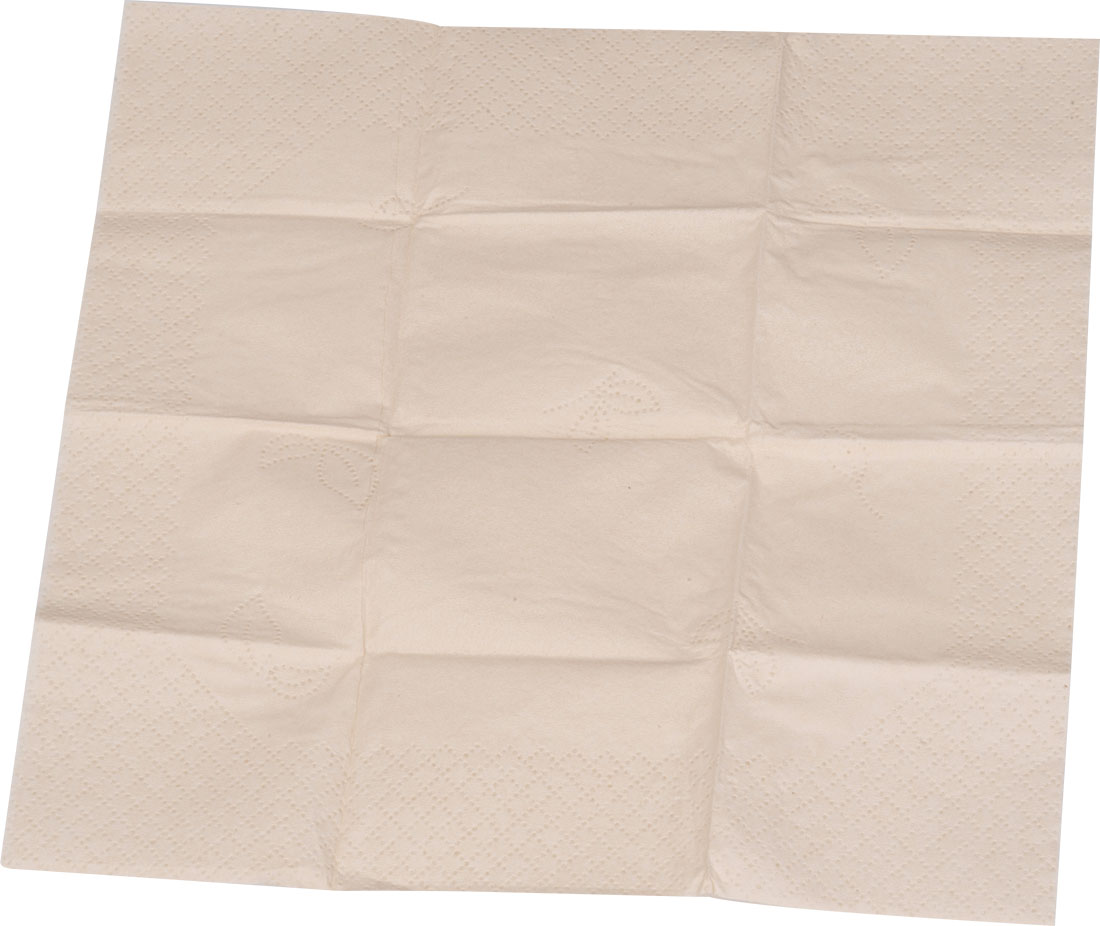 Chusteczki higieniczne 10 szt. MIDLAND P180052G 3 Chusteczki higieniczne 10 szt. MIDLAND P180052G