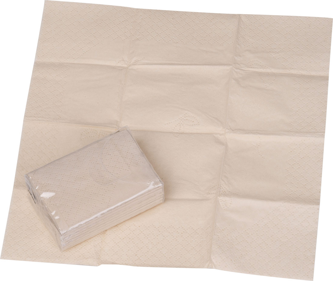 Chusteczki higieniczne 10 szt. MIDLAND P180052G EG-866913