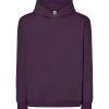 Bluza dresowa swkng over P142387H future dark