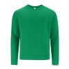 Bluza dla dorosłych Cosmos P175125T zielony