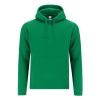 Bluza dla dorosłych Draco P174741T zielony Bluza dla dorosłych Draco P174741T zielony